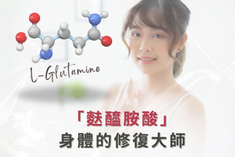 L-Glutamine，修復身體的關鍵分子，幫助提升身體健康。