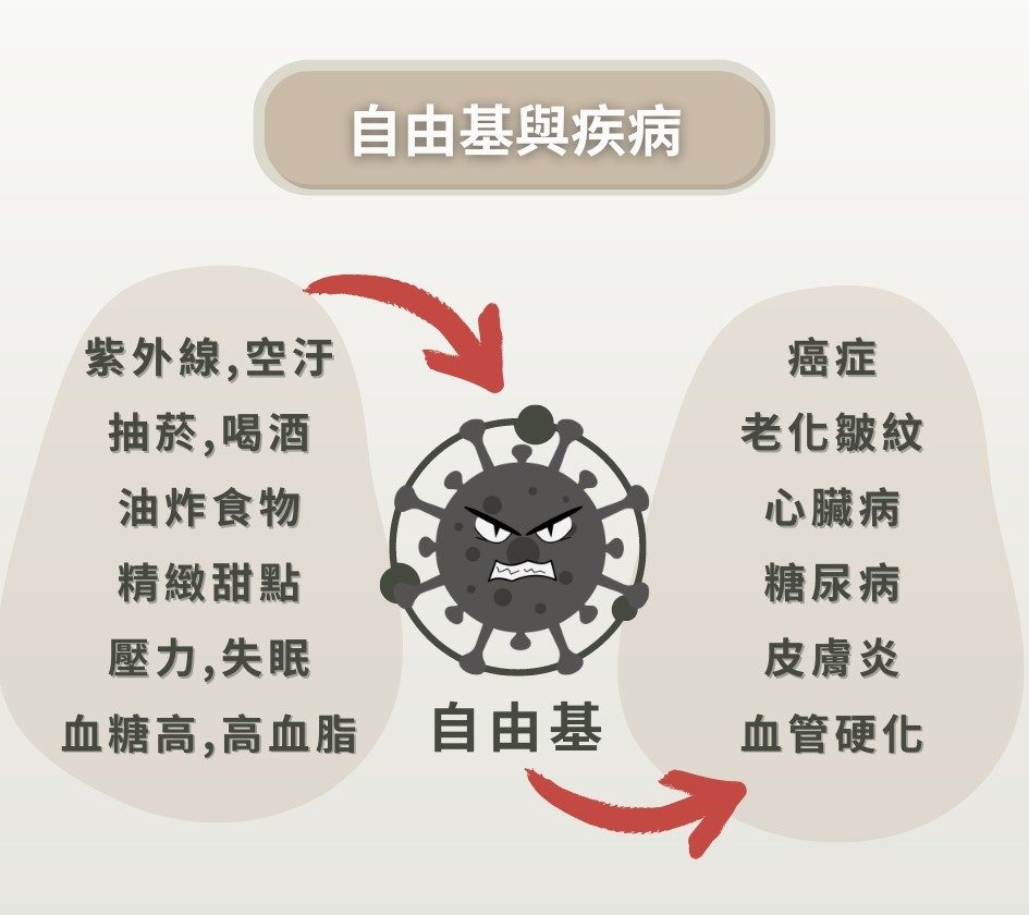 自由基與健康：紫外線、空氣污染、抽菸、喝酒、油炸食品等，會引發自由基產生，進而增加癌症、老化、心臟病、糖尿病等風險。